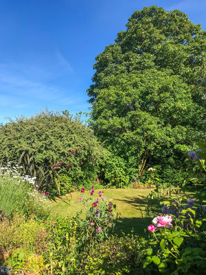 Photo 27- click for photo gallery